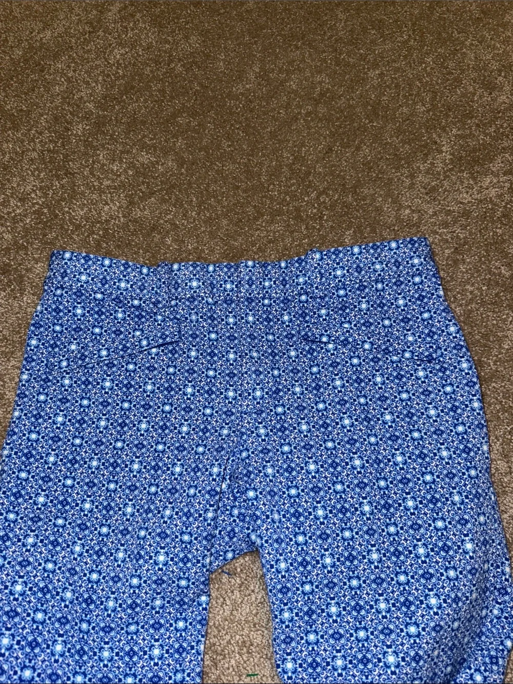 GAP Blue Geometric Skinny Ankle Pants - size 10R